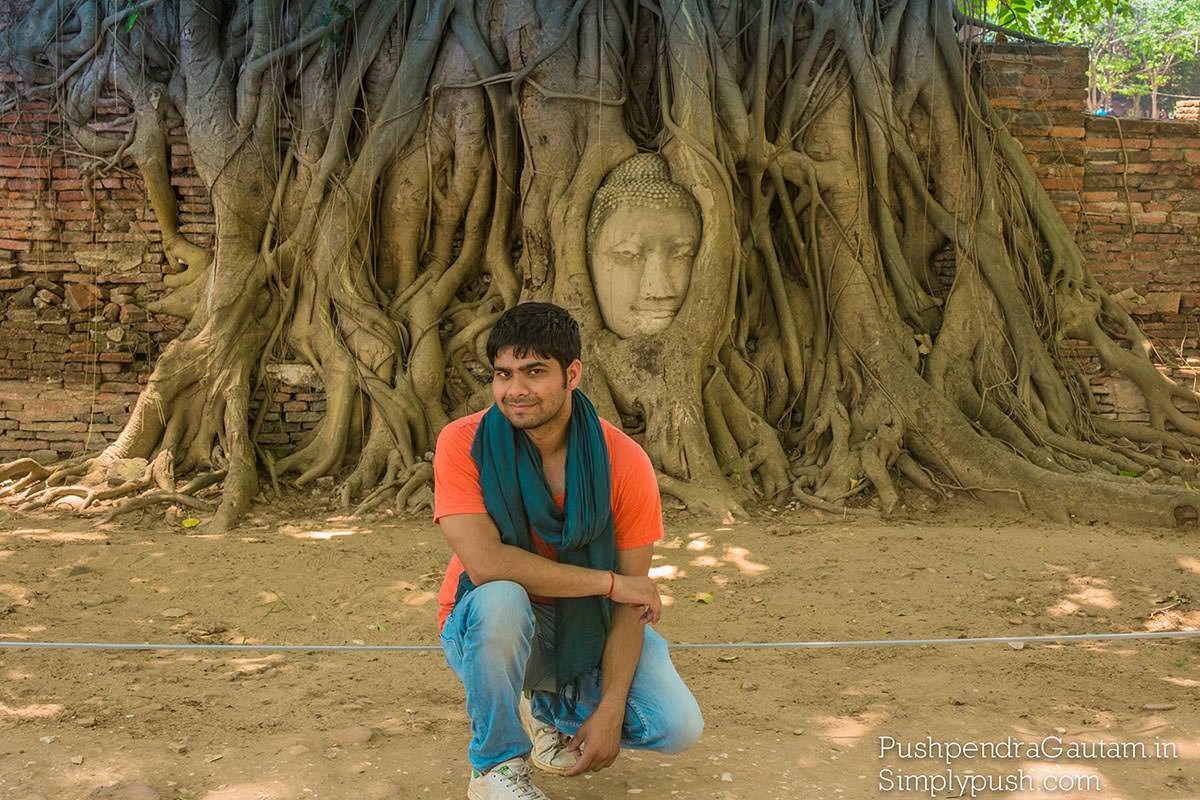 buddha-head-in-tree-pics